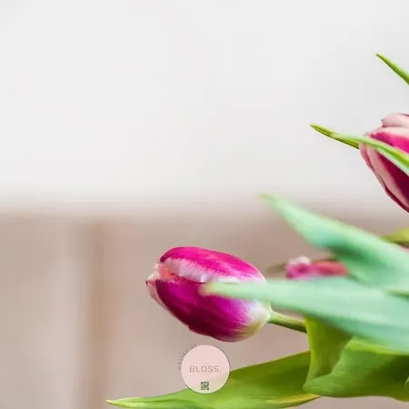 Апартаменти Casa Tropezina *